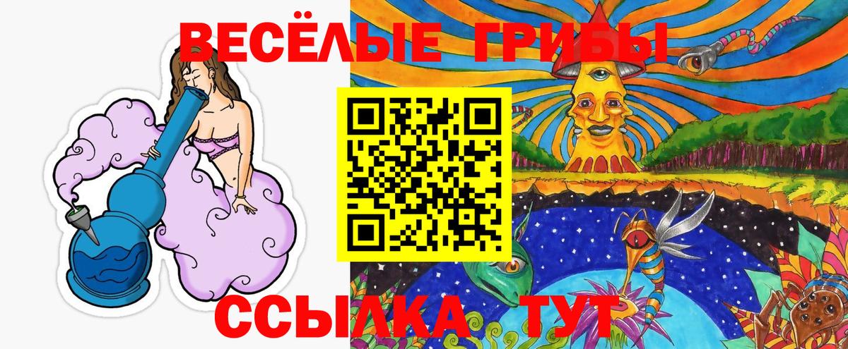 Галлюциногенные грибы Cubensis Киселёвск