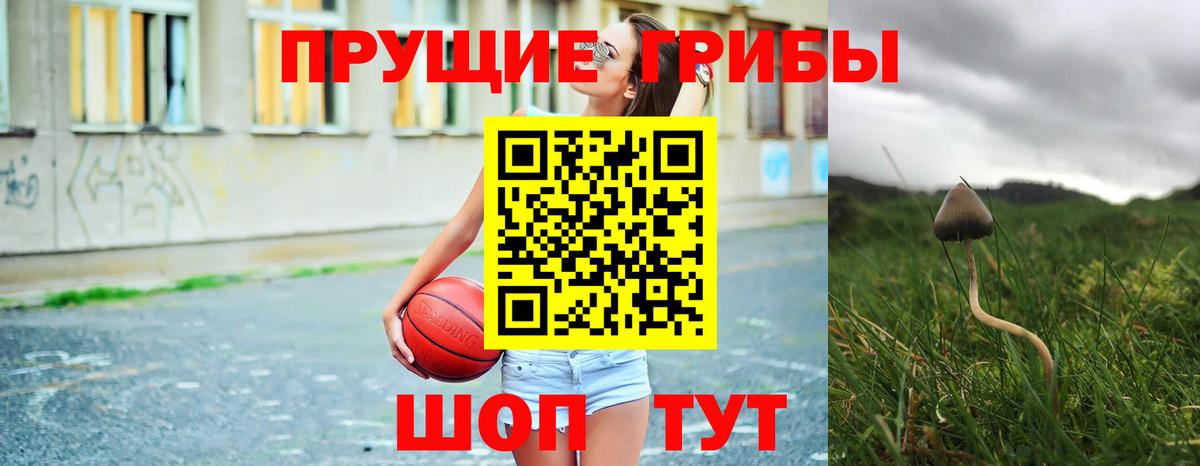 Галлюциногенные грибы Magic Shrooms  Вход с VPN  Псилоцибиновые грибы ЛСД  Киселёвск 